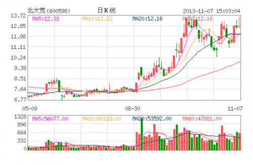北大荒(600598)