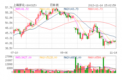 上海家化(600315)
