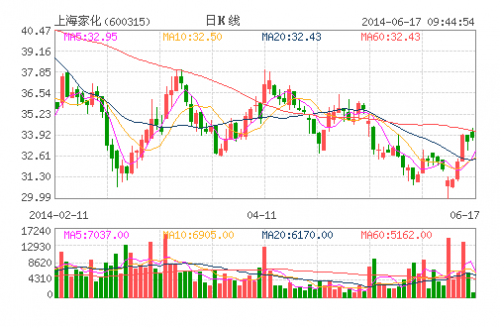 上海家化(600315)