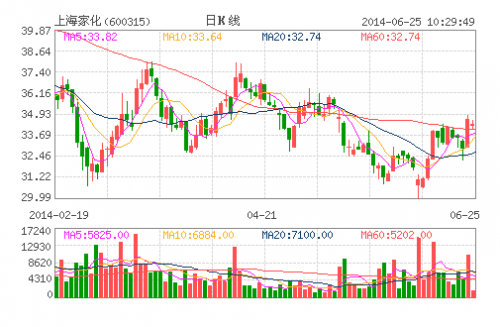 上海家化(600315)
