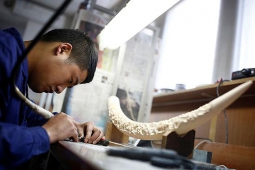 北京牙雕。2017年3月31日，北京，一家象牙工艺品作坊的员工在制作工艺品。视觉中国 图