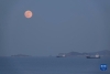 12月19日在山东省烟台市拍摄的满月。